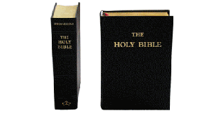 douay rheims bible by baronius press small