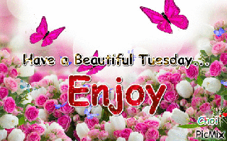 have a beautiful tuesday pictures photos and images for small