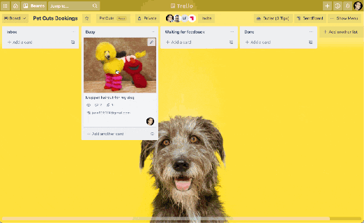 forward emails from in trello with attachments derp jump dog small