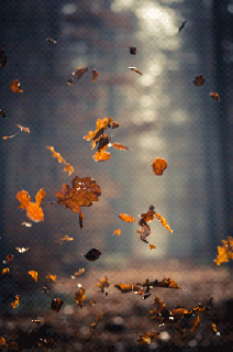 leaves autumn gif wifflegif small