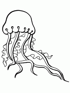 jellyfish coloring page clipart panda free clipart images small