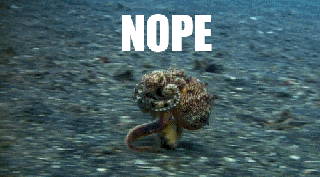 not safe for work octopus gif by snappytv find share small