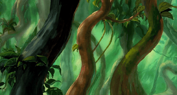 tumblr rainforest animals gif small