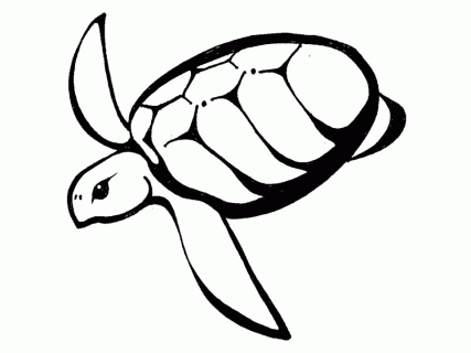 hawaiian sea turtle drawing at getdrawings com free for personal small