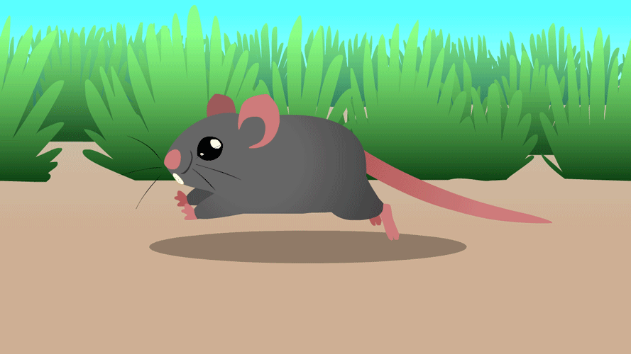 https://cdn.lowgif.com/small/829c2a3bc58c9377-mouse-animated-running-www-imgkid-com-the-image-kid.gif