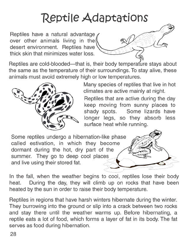 reptile adaptations printable life science in the middle grades small
