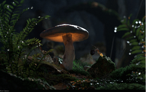 the secret garden by leandro oliveira making of small