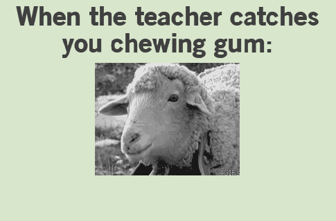 chewing gum eating gif find share on giphy small