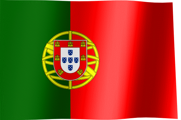 https://cdn.lowgif.com/small/84d89875d3fe4af4-flag-of-portugal-all-waving-flags.gif