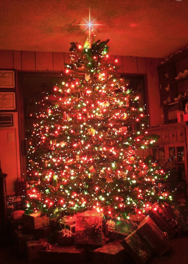 https://cdn.lowgif.com/small/8894d0e674ac3c67-pinterest-christmas-tree-gif-christmas-tree-and.gif