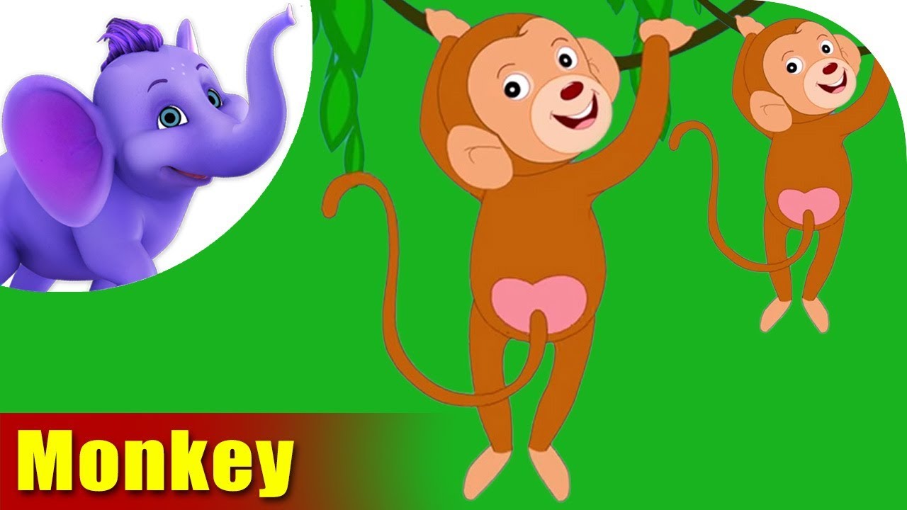 monkey rhymes monkey animal rhymes videos for children youtube small