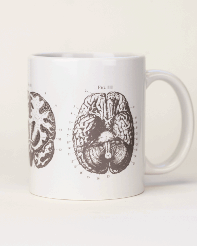 anatomical brain mug cognitive surplus 1 maa degree pinterest small