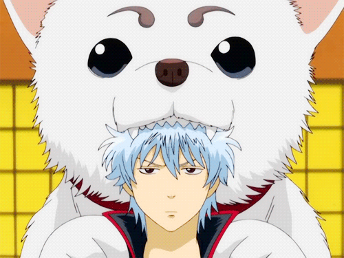 gintama sadaharu anime manga pinterest happy animals anime