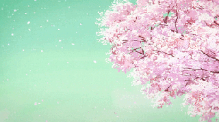 sakura theme tumblr small