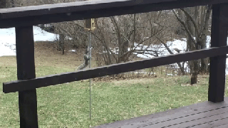 https://cdn.lowgif.com/small/8c00ced9ff678539-my-uncle-upped-his-battle-with-the-squirrels-raiding-the-feed-birder.gif