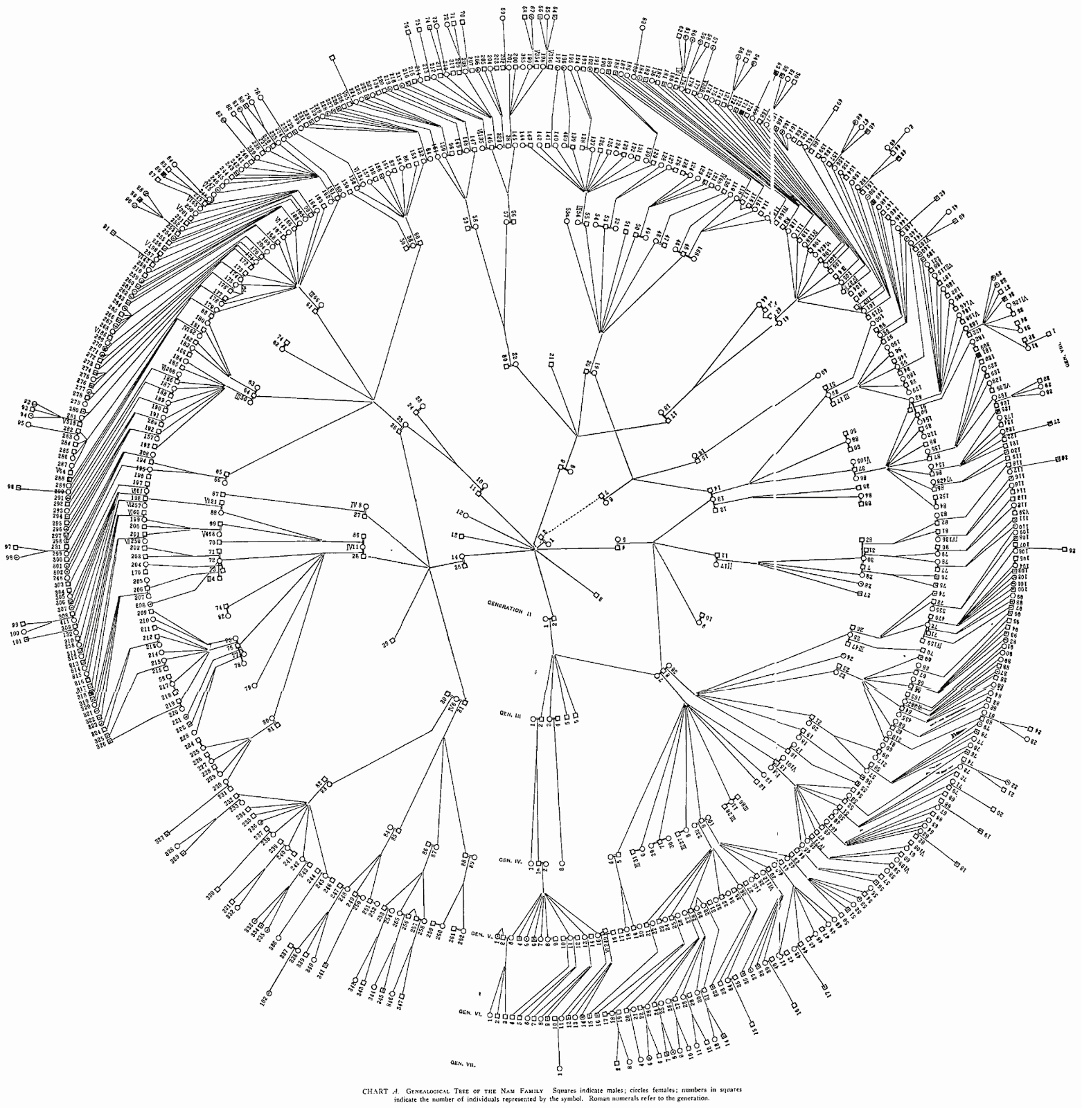 the genealogical world of phylogenetic networks circular phylograms small