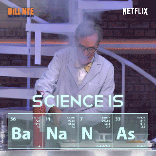 https://cdn.lowgif.com/small/8d2491e09116139b-bill-nye-chemistry-gif-by-netflix-find-share-on-giphy.gif