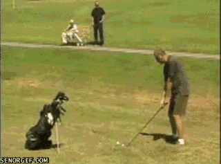 se or gif golf page 5 great gifs funny gifs cheezburger small