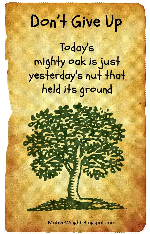 don t give up don t give up today s mighty oak is yesterday s nut small