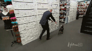 funny gifs bad day project runway tim gunn pick me up small
