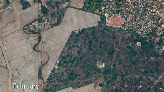 space in images 2016 12 agricultural monitoring in spain small