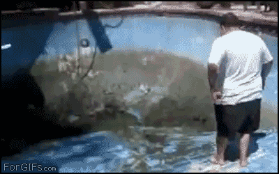 introducing the new gifs fat guy pool small