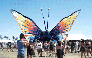 time lapse coachella gif find share on giphy small