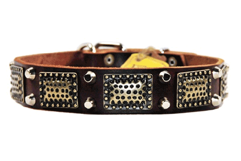 d t thor collar by dean tyler small