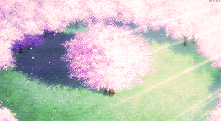 printemps fleurs de cerisier petales blossom spring nature small