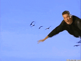 https://cdn.lowgif.com/small/98d5f4e8fd3a7516-flying-in-the-sky-gifs-get-the-best-gif-on-giphy.gif