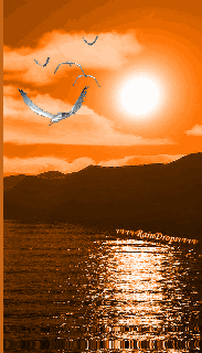 photo sunset 96a2um17 gif water reflection water moving small