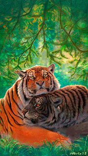 https://cdn.lowgif.com/small/9adafb42f21d3328-1000-images-about-tigers-on-pinterest-tigers-white.gif