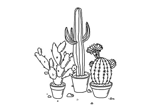 cacti drawings gif pretty drawing cute plants cactus transparent small