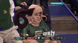 colorado state superfan wants to walk on to csu football team small