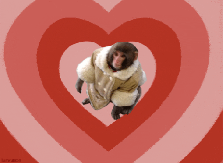 ikea monkey gifs get the best gif on giphy small