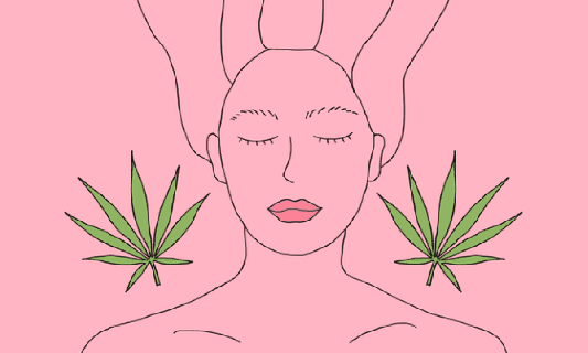 10 best cannabis essential oils potent cartoon skunk clip art small