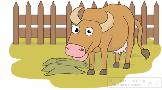 animals animated clipart cow eating hay farm animated gif small