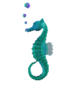 https://cdn.lowgif.com/small/a221a9748352a2eb-seahorse-seahorses-pinterest-seahorses-sea-dragon-and-horse.gif