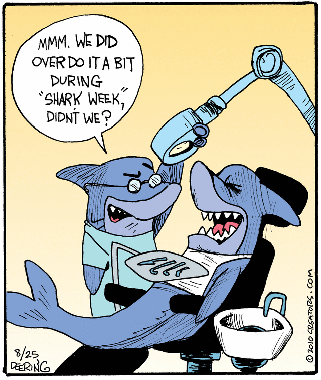 shark week puns jokes for kids that are really funny funny jokes small