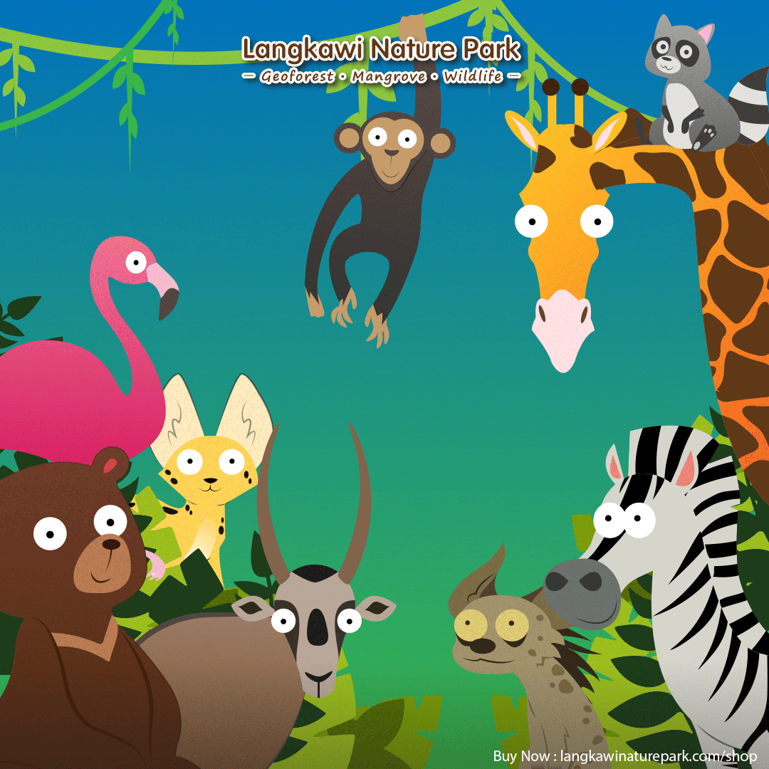 12 animal species ideas langkawi rainforest animals gif