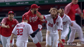 washington nationals gifs find share on giphy small