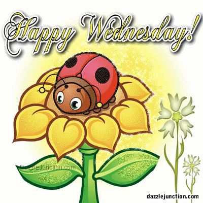happy wednesday quotes for facebook happy wednesday comments small