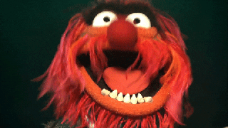 animal muppet gifs get the best gif on giphy small