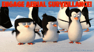 penguins of madagascar images engage aerial surveillance wallpaper small