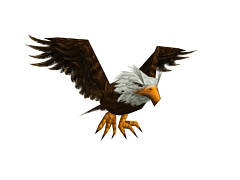 eagle gif on gifer by moril small