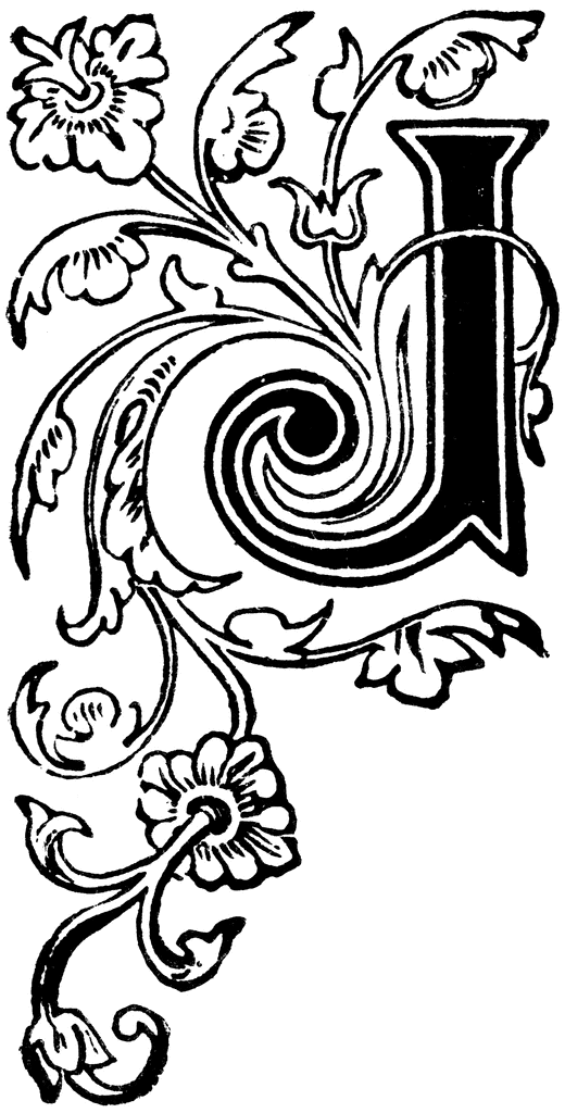 floral capital j lettering typeface fonts calligraphy etc small