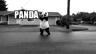 https://cdn.lowgif.com/small/a9d559f25919d90f-panda-truck-gif-find-share-on-giphy.gif