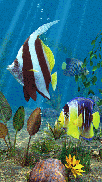 Wallpaper Animasi 3d Ikan Image Num 85