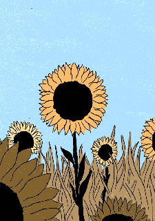 gif sunflower tumblr small