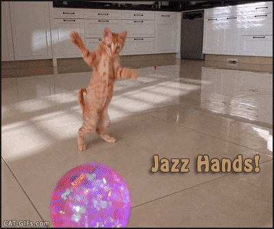 https://cdn.lowgif.com/small/ab7321b51a07765a-artistic-cat-gif-with-captians-funny-dancing-ginger-cat-jazz.gif